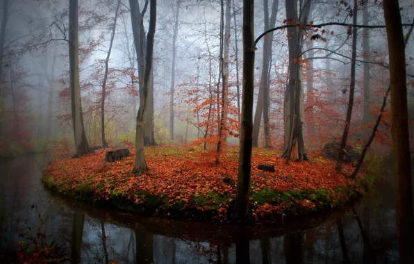 Picture autumn, forest, nature, river