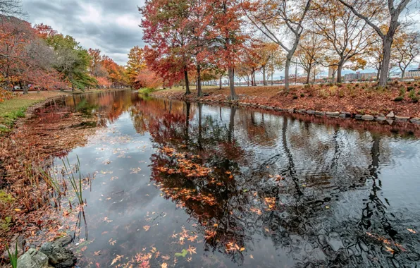 Picture autumn, trees, Park, channel, USA, Boston, arboretum
