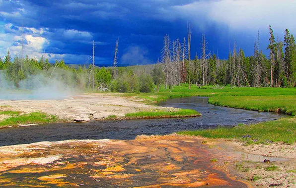 Picture forest, the sky, trees, clouds, river, USA, geyser, Yellowstone national Park