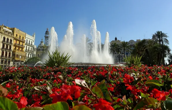 Picture flowers, fountain, Spain, flowerbed, Spain, Valencia, Valencia, begonias