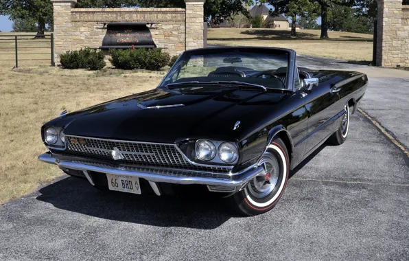 Picture background, black, Ford, Ford, convertible, classic, the front, 1966, Convertible, Thunderbird, Tendered