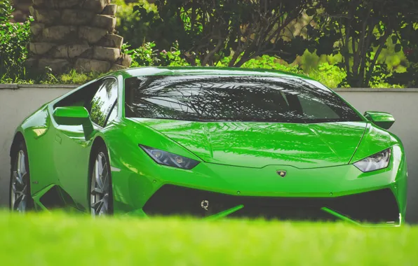 Picture green, Lamborghini, Huracan