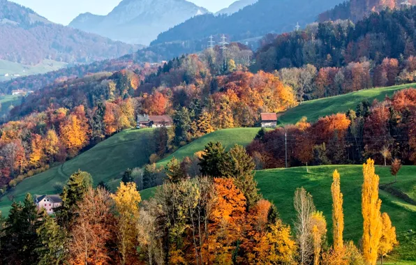 Picture autumn, trees, mountains, home, Switzerland, slope, Alps