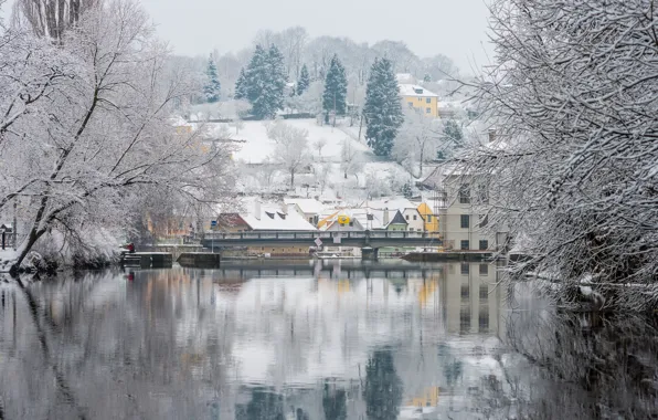 Picture winter, snow, trees, river, Prague, Czech Republic, Vltava