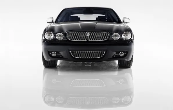 Picture Jaguar, Reflection, Grille, Lights, The front
