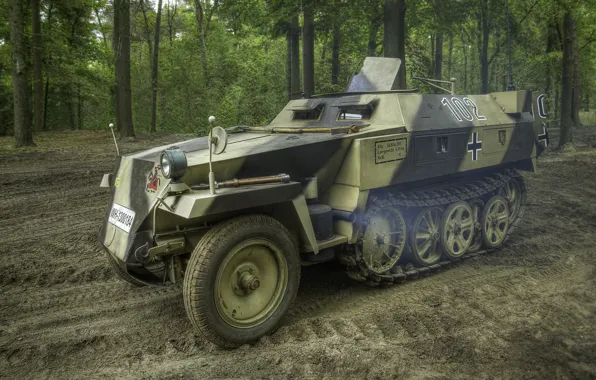 Picture easy, war, APC, Special motor vehicle 250, period, world, Second, German, half-track, SdKfz 250