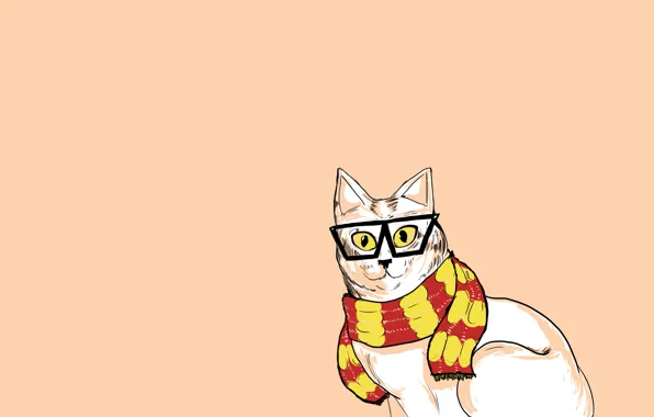 Picture cat, cat, minimalism, scarf, glasses, hipster