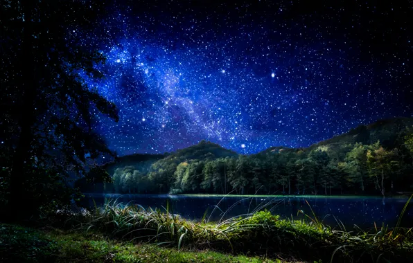 Picture forest, the sky, grass, stars, trees, night, lake, Croatia, Trakoscan