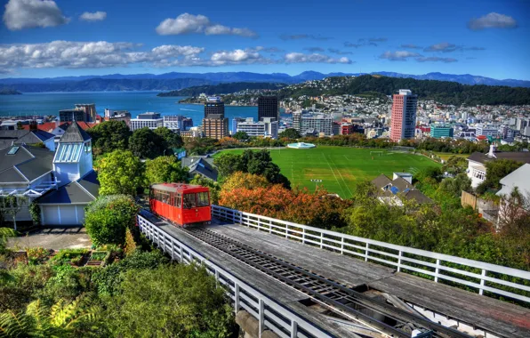 Picture forest, mountains, the city, home, New Zealand, panorama, and, stadium, water., New Zeal, Wellington