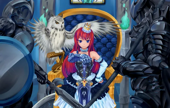 Picture look, girl, smile, weapons, owl, armor, knights, art, nora