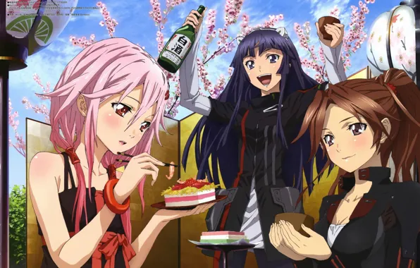 Picture joy, Sakura, blush, flowering, booze, friend, guilty crown, pink hair, inori yuzuriha, appetizer, three girls, …