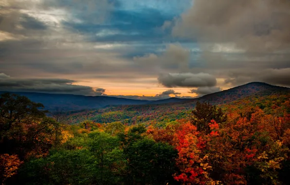 Picture autumn, forest, landscape, mountains, nature, photo, USA, Virginia