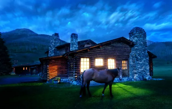 Picture light, horse, House