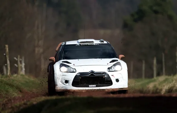 Picture White, Citroen, Driver, DS3, Rally, The front
