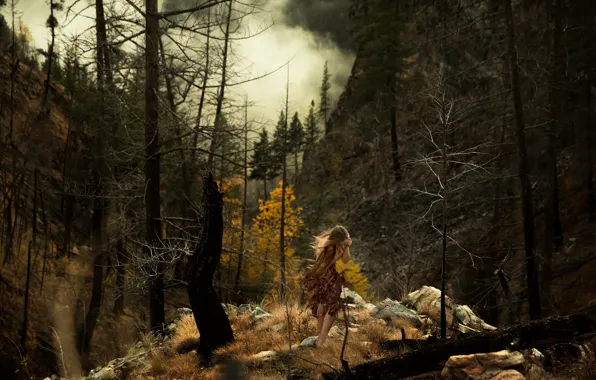 Picture forest, girl, stones, smoke, Lichon