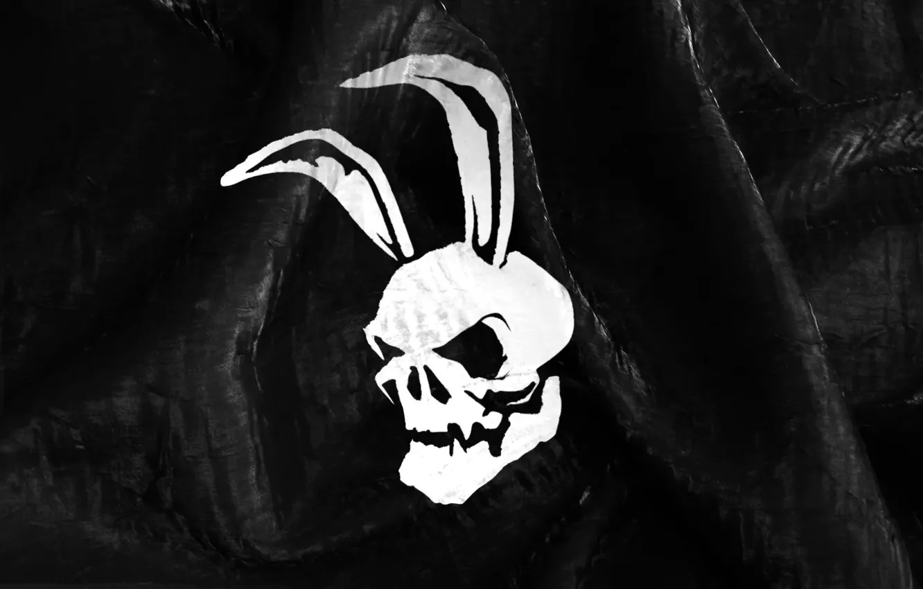 Photo wallpaper black, skull, Bunny, ears