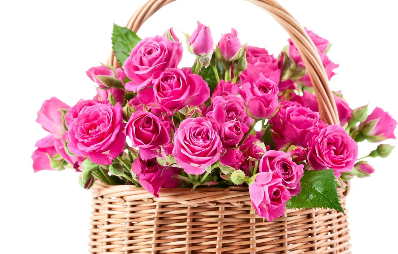 Photo wallpaper flowers, basket, roses, bouquet, pink, basket, beautiful