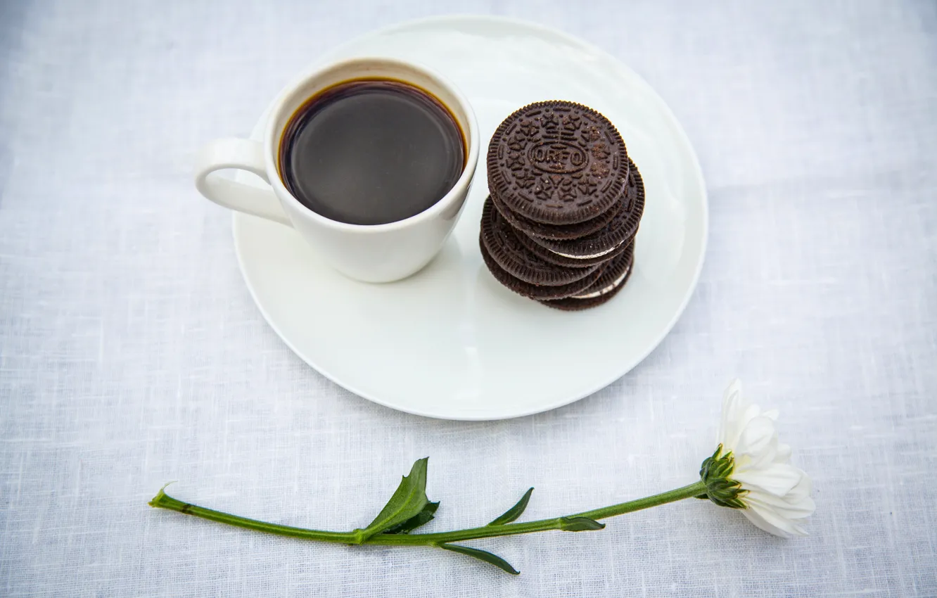 Wallpaper flower, table, coffee, Daisy, cookies, Cup, saucer, oreo images  for desktop, section еда - download