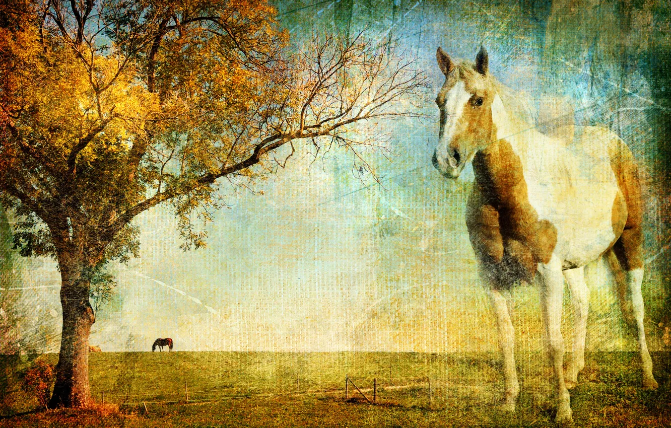 Photo wallpaper landscape, canvas, photo, tree, horse, horse, texture, horizon
