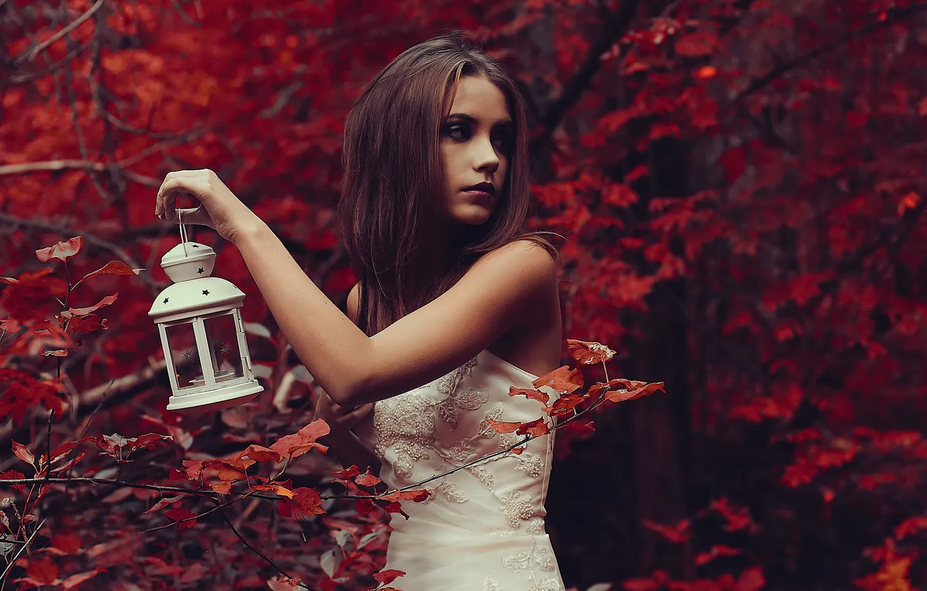 Photo wallpaper Girl, Look, Forest, Leaves, Model, Lantern, Red, Beautiful, Kseniya Kokoreva
