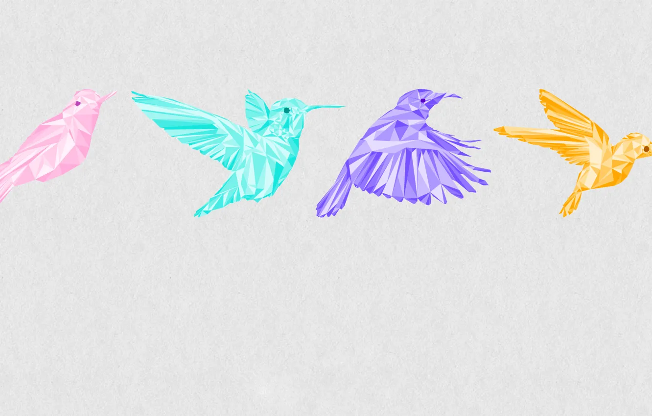 Photo wallpaper flight, bird, graphics, color, frame, Hummingbird