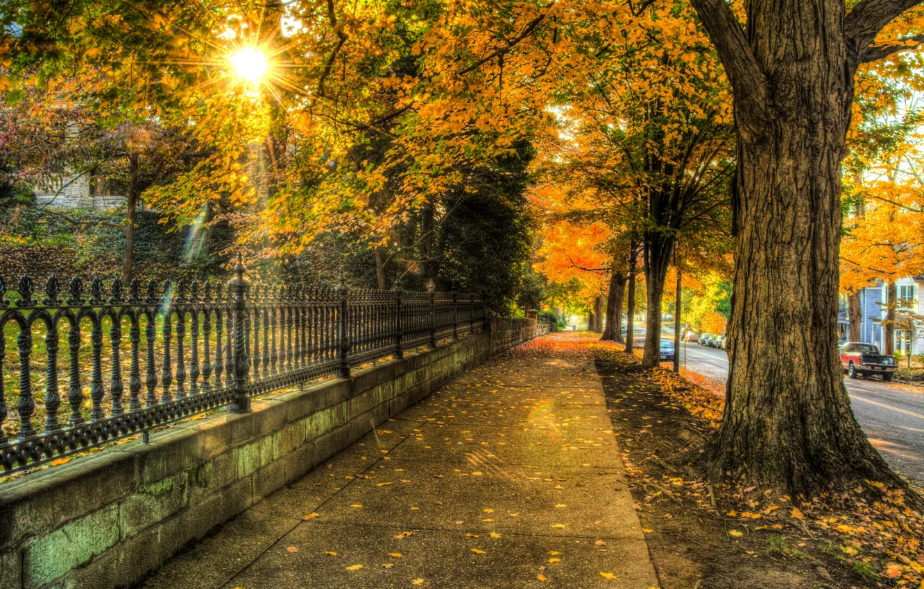 Wallpaper autumn, leaves, trees, nature, city, the city, house, street,  house, architecture, trees, nature, autumn, leaves, street, architecture  images for desktop, section природа - download