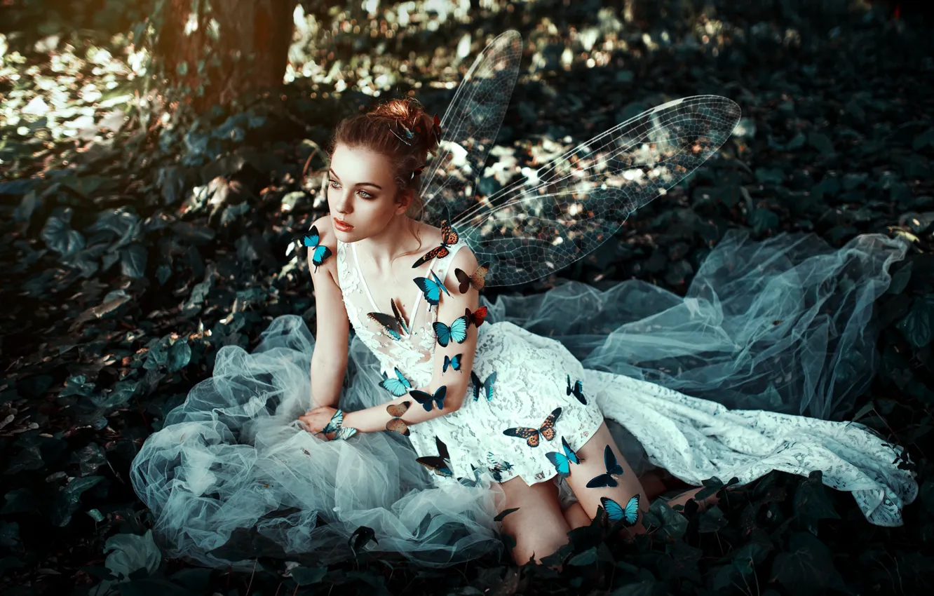 Photo wallpaper girl, butterfly, face, style, background, wings, dress