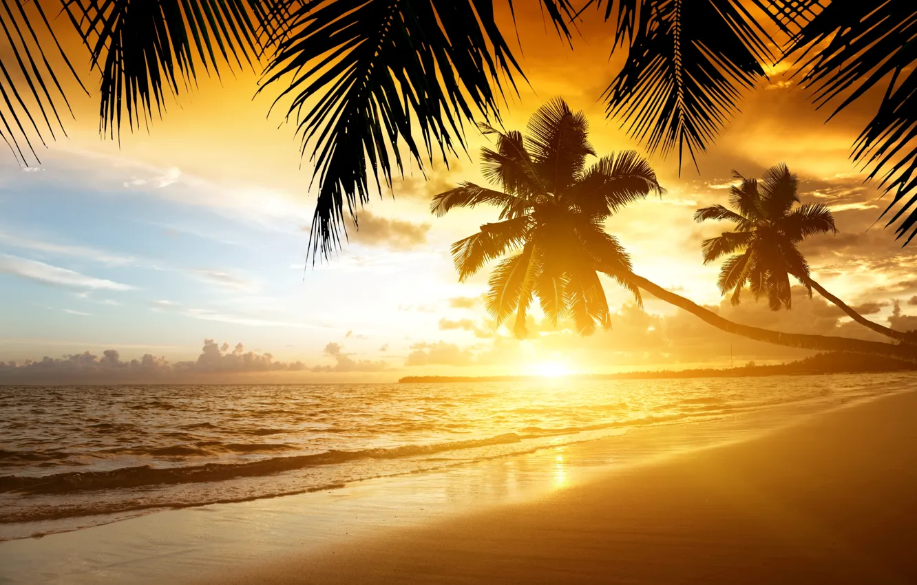 Wallpaper sand, sea, beach, sunset, tropics, palm trees, shore, summer,  beach, sea, ocean, coast, sunset, sand, paradise, tropical images for  desktop, section природа - download