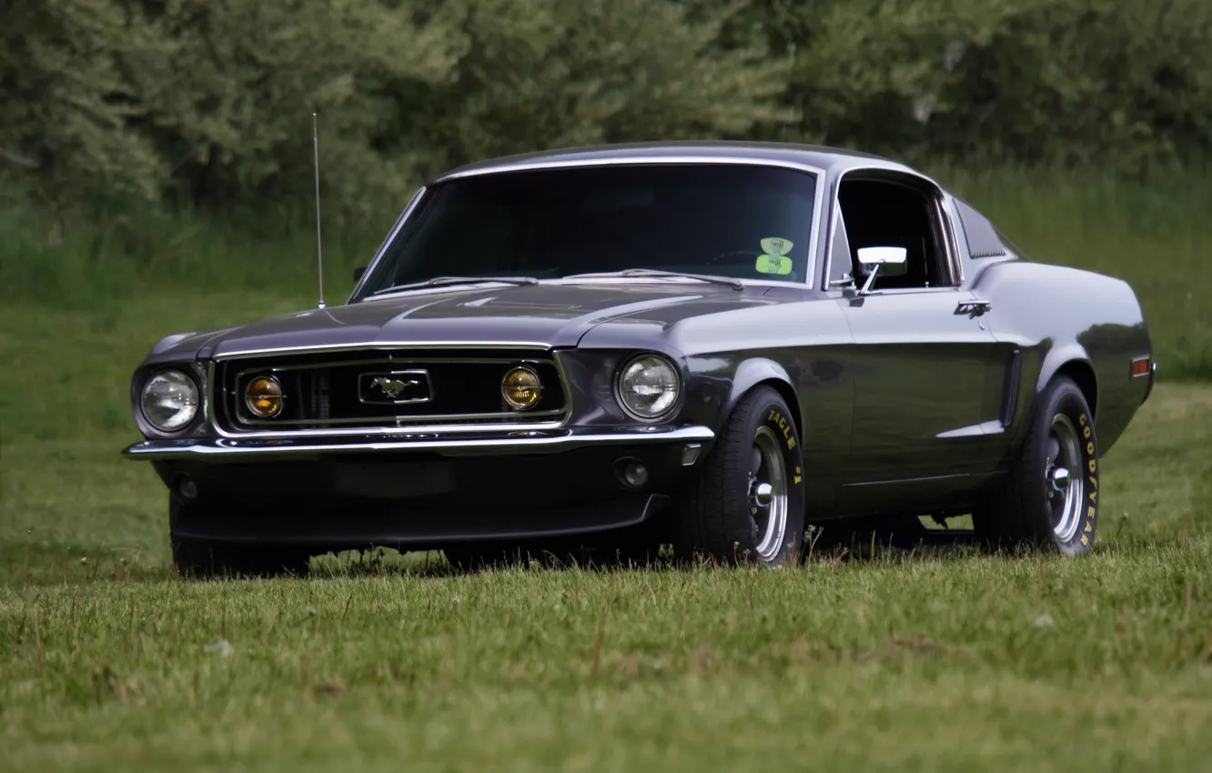 Photo wallpaper mustang, ford, old, school