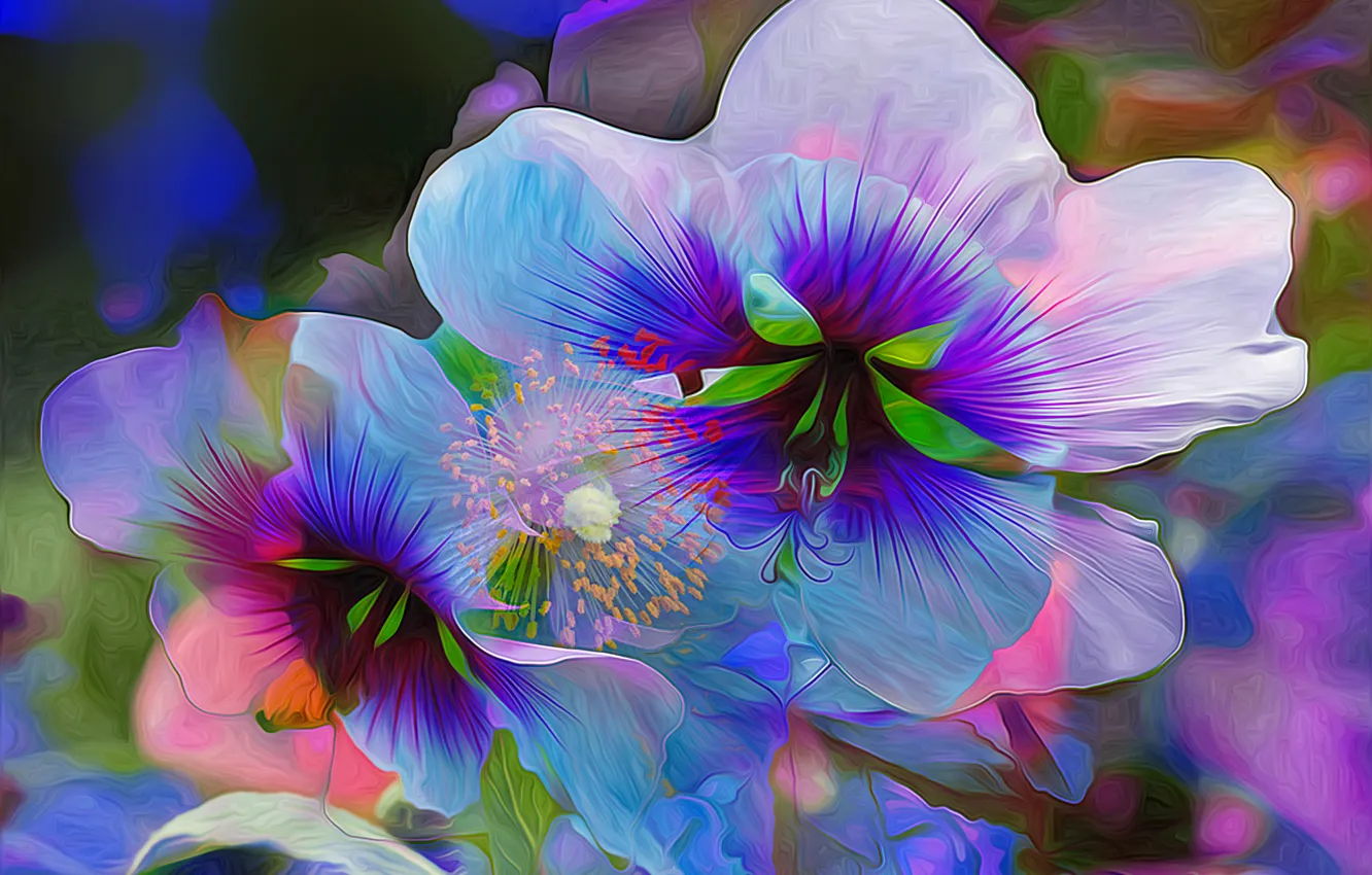 Wallpaper flower, macro, line, paint, petals, touch images for desktop ...