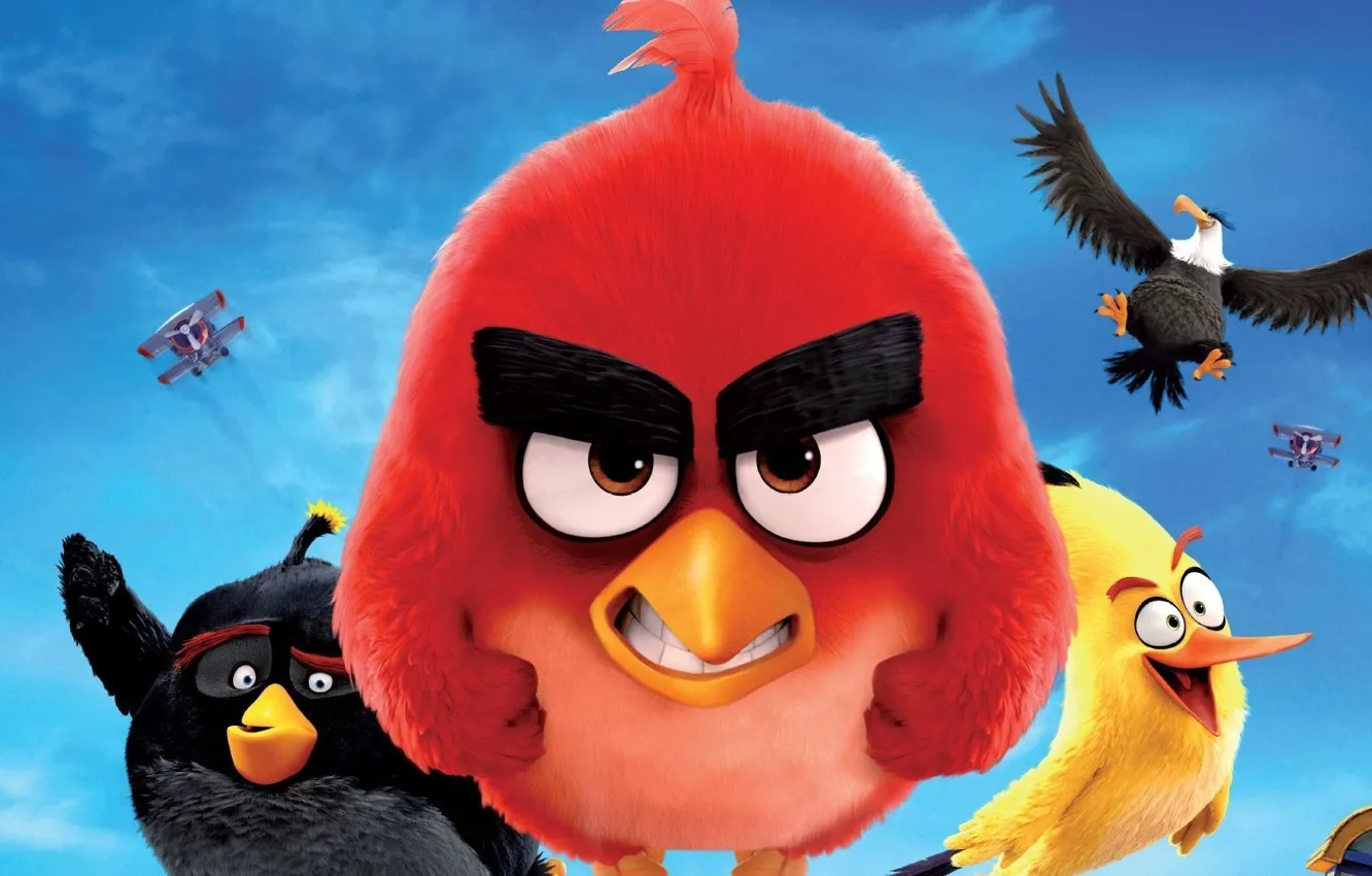 Wallpaper cinema, animation, Red, game, aircraft, flying, bird, wings,  cartoon, eagle, movie, series, film, friends, angry, Angry Birds images for  desktop, section фильмы - download