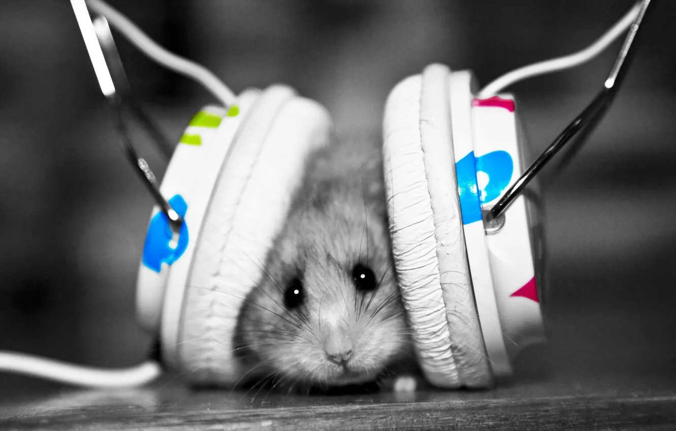 Photo wallpaper music, mouse, headphones