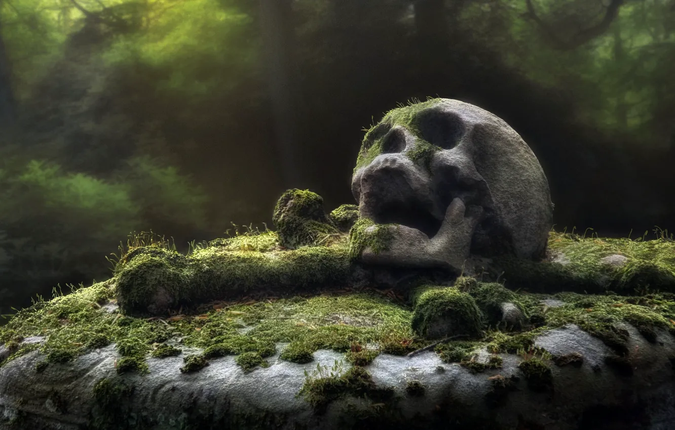 Photo wallpaper skull, monument, cemetery
