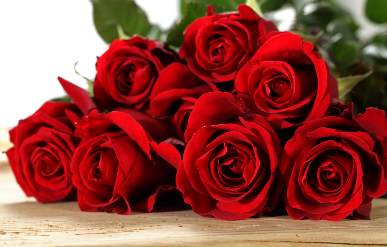Photo wallpaper roses, red, red, flowers, romantic, roses, with love