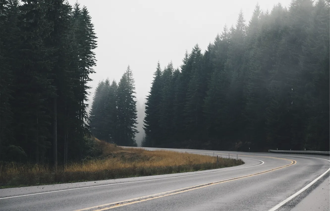 Photo wallpaper road, forest, asphalt, track, spruce, ate, highway