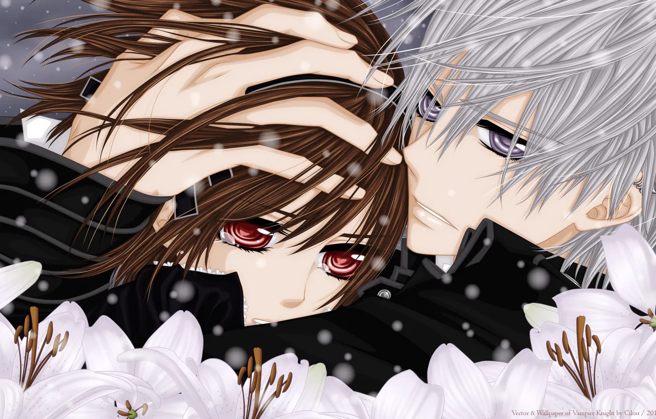 Photo wallpaper look, snow, flowers, tears, hugs, Vampire Knight, Yuki, Zero