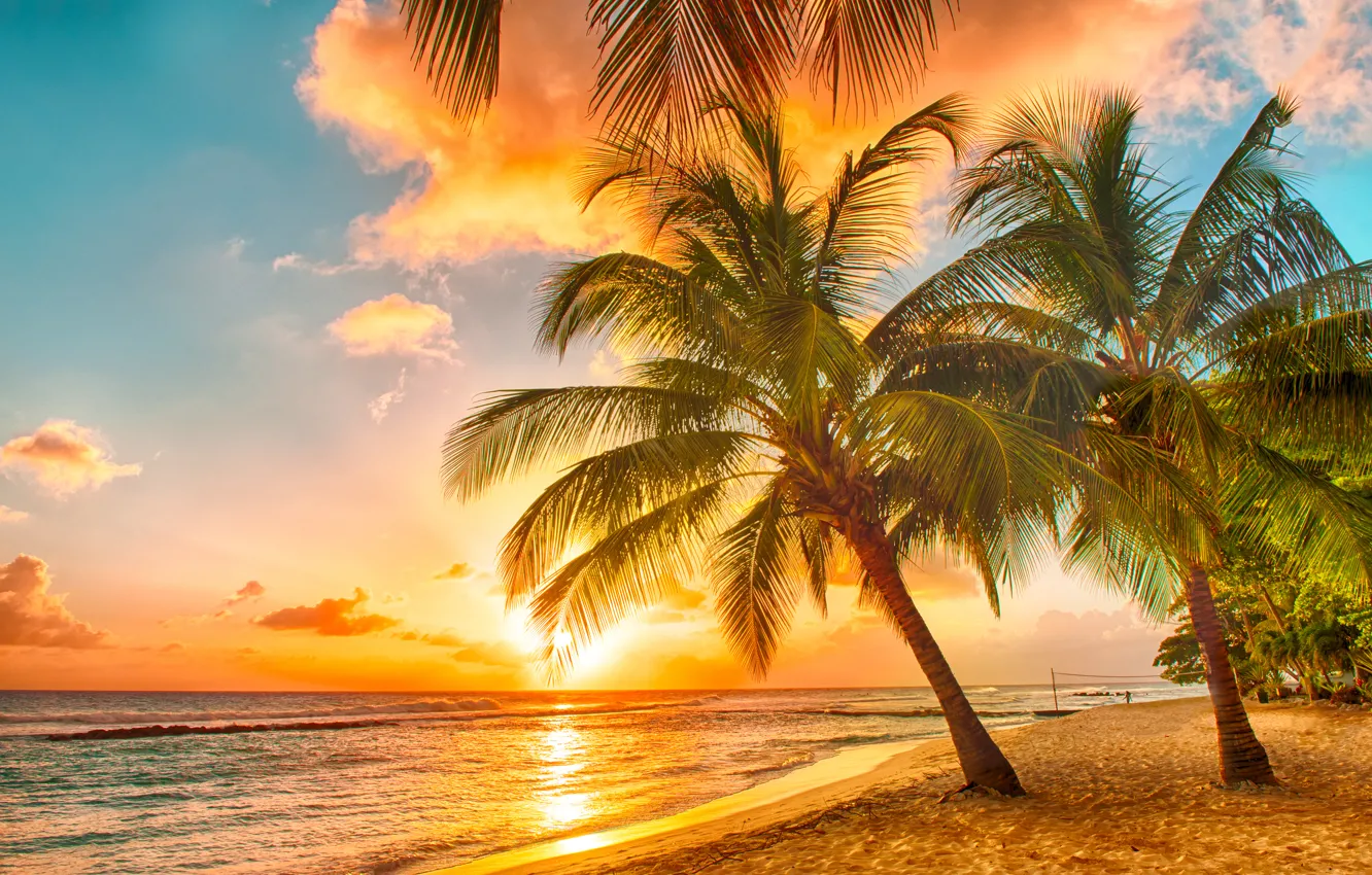 Wallpaper sand, sea, beach, sunset, tropics, palm trees, shore, beach, sea,  ocean, sunset, paradise, palms, tropical images for desktop, section  природа - download