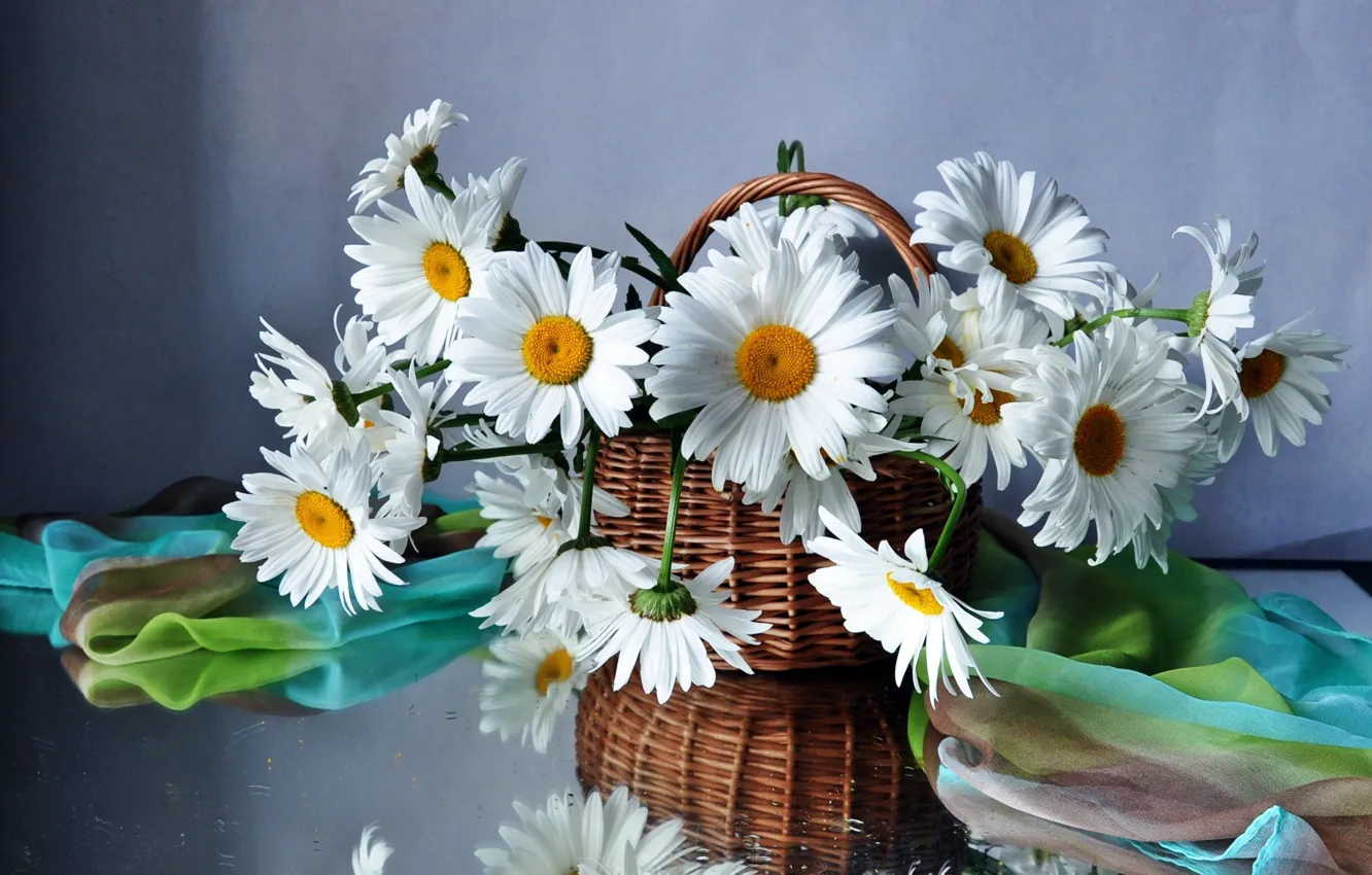 Photo wallpaper flower, flowers, basket, chamomile, bouquet, basket, field, beautiful
