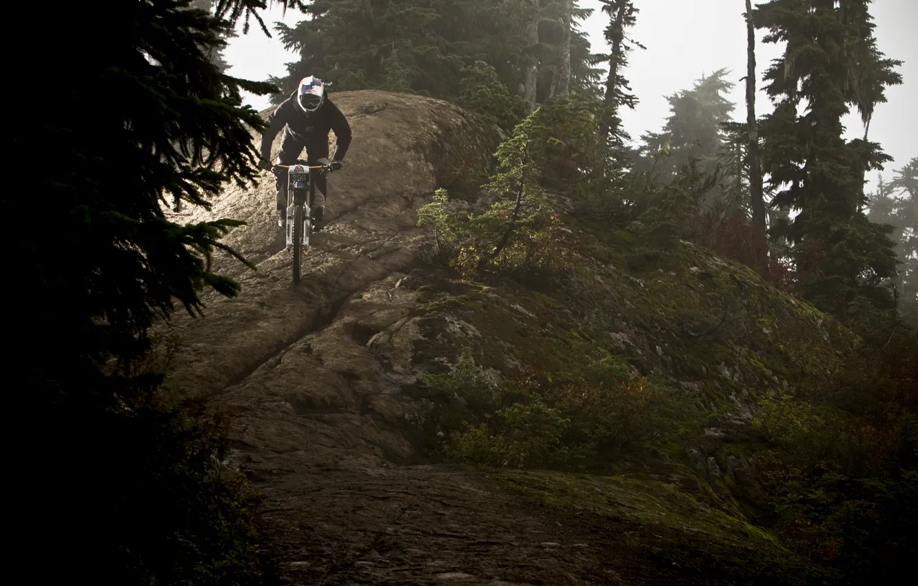 Wallpaper forest, Sasha Grey, bike, mountain, Jordan Carver, ride images  for desktop, section спорт - download