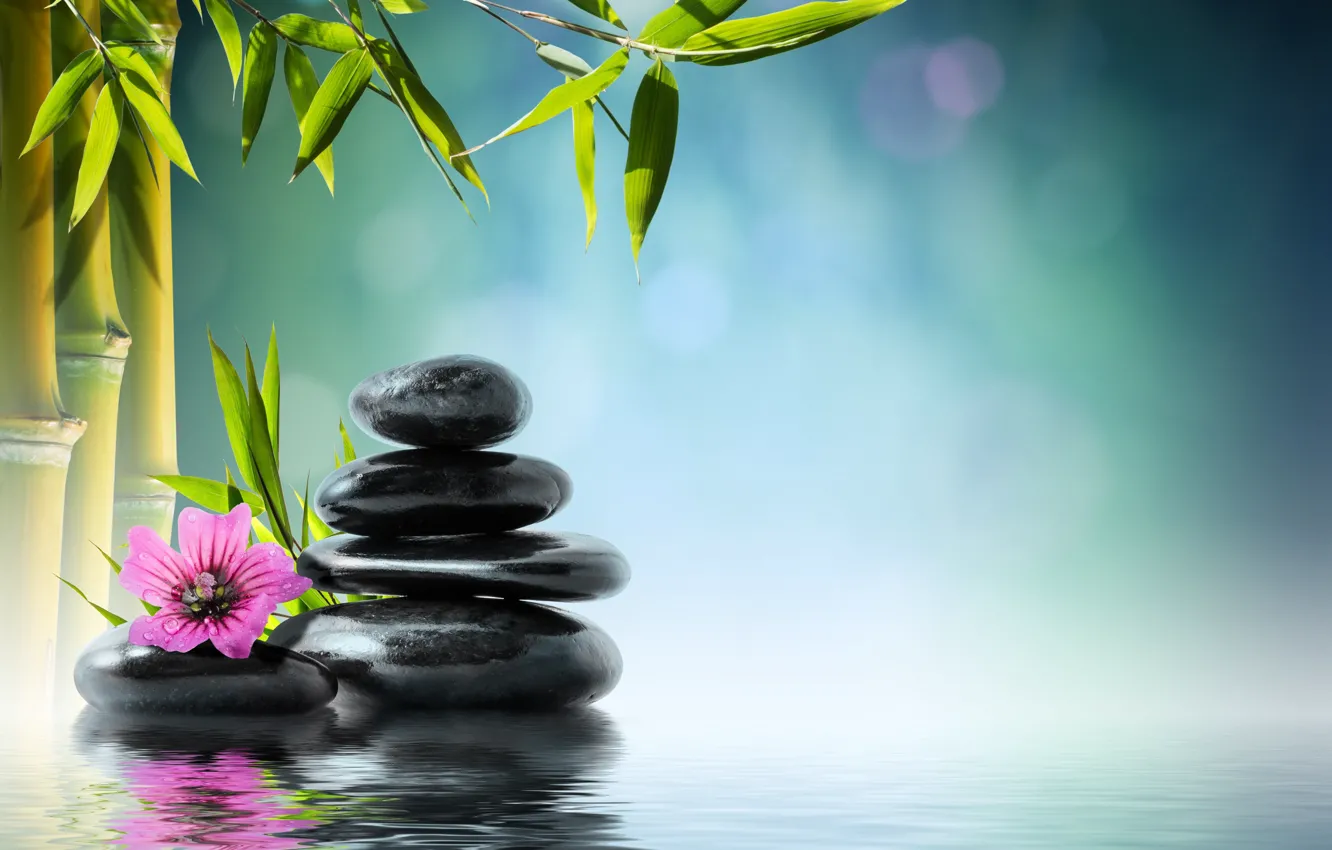 Photo wallpaper flower, water, stones, bamboo, flower, water, orchid, stones, reflection, bamboo, spa, zen