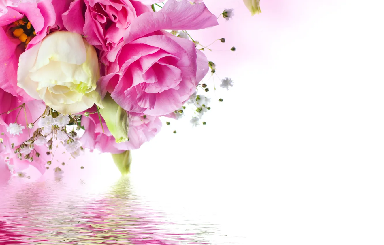 Photo wallpaper roses, white, pink, water, blossom, flowers, beautiful, reflection, roses