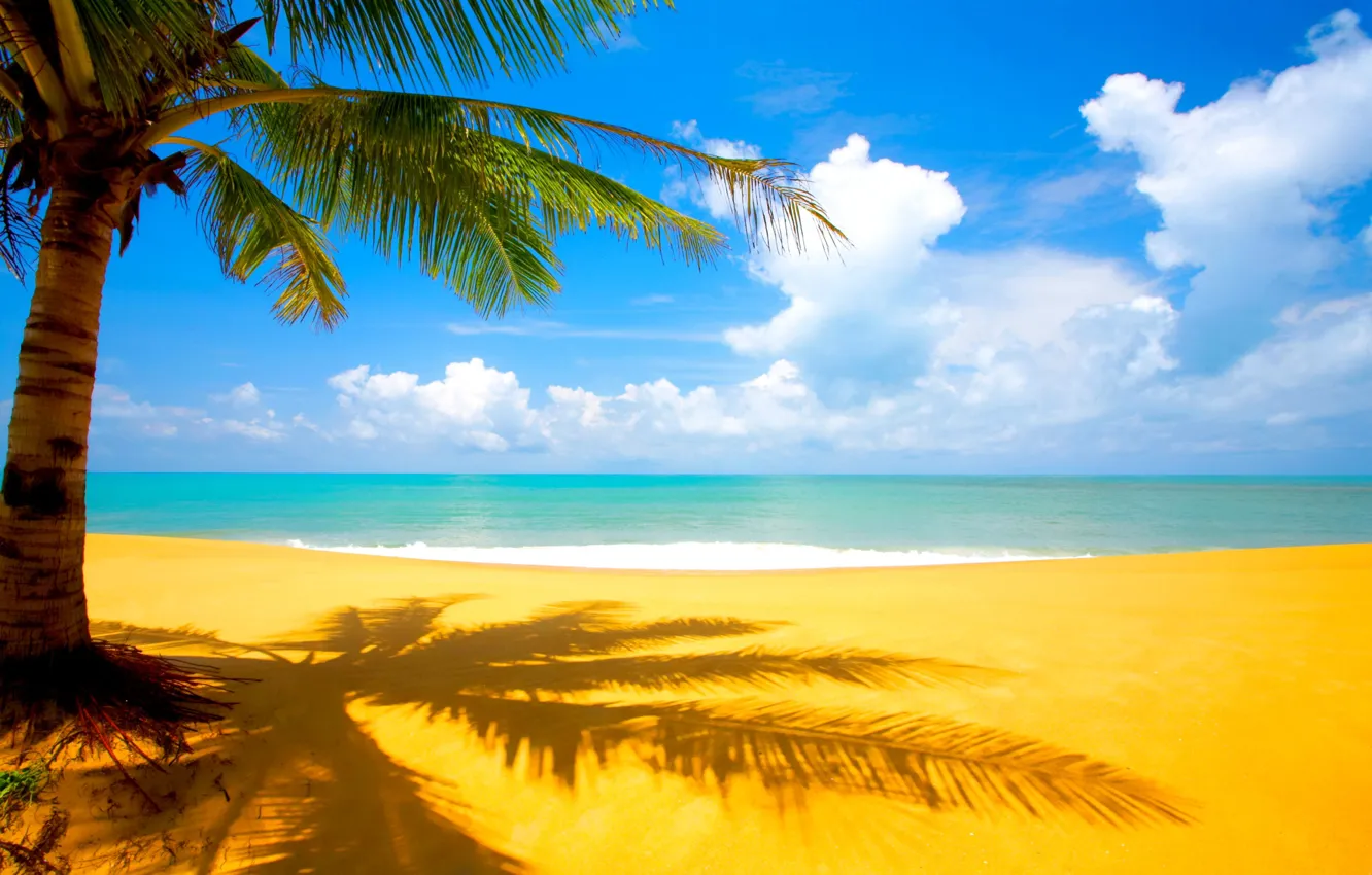 Photo wallpaper sand, sea, beach, clouds, tropics, Palma