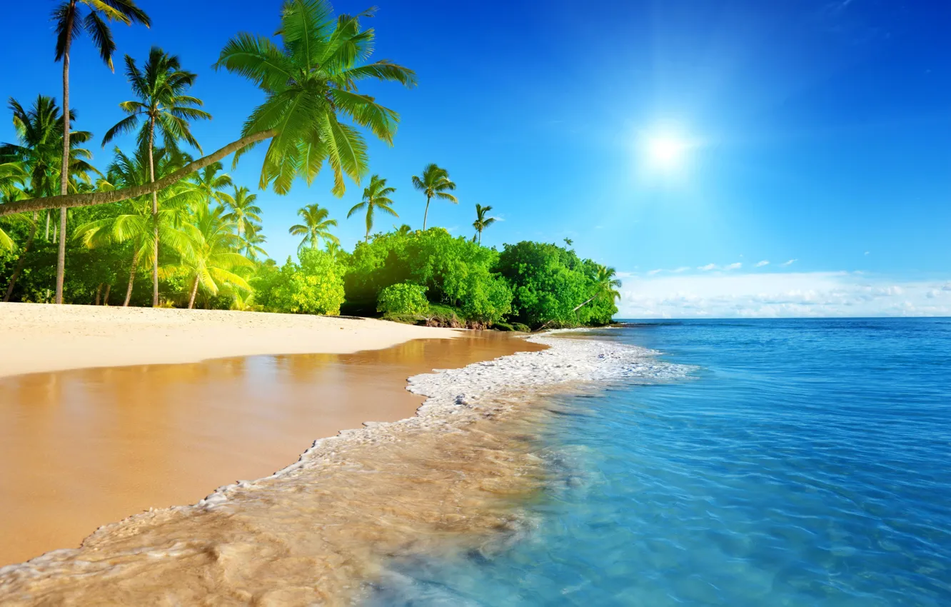 Photo wallpaper beach, tropics, palm trees, the ocean, shore, exotic