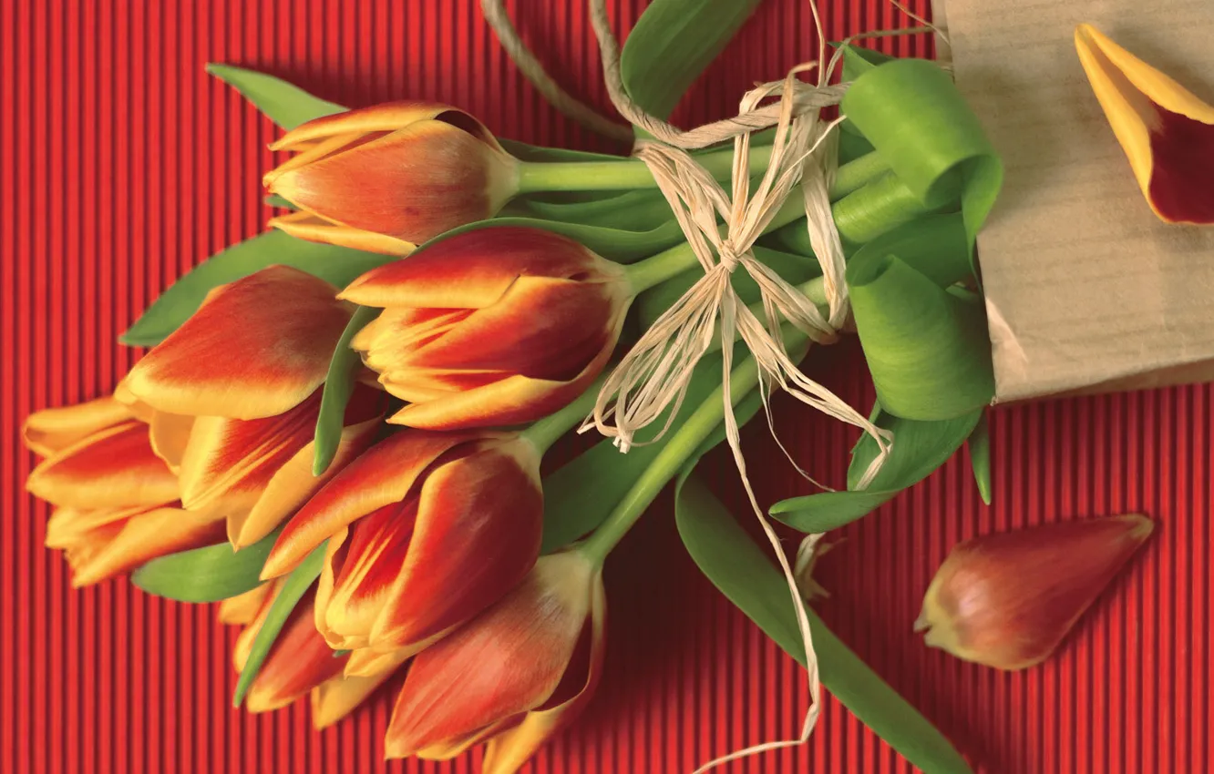 Photo wallpaper red, bouquet, rope, petals, tulips