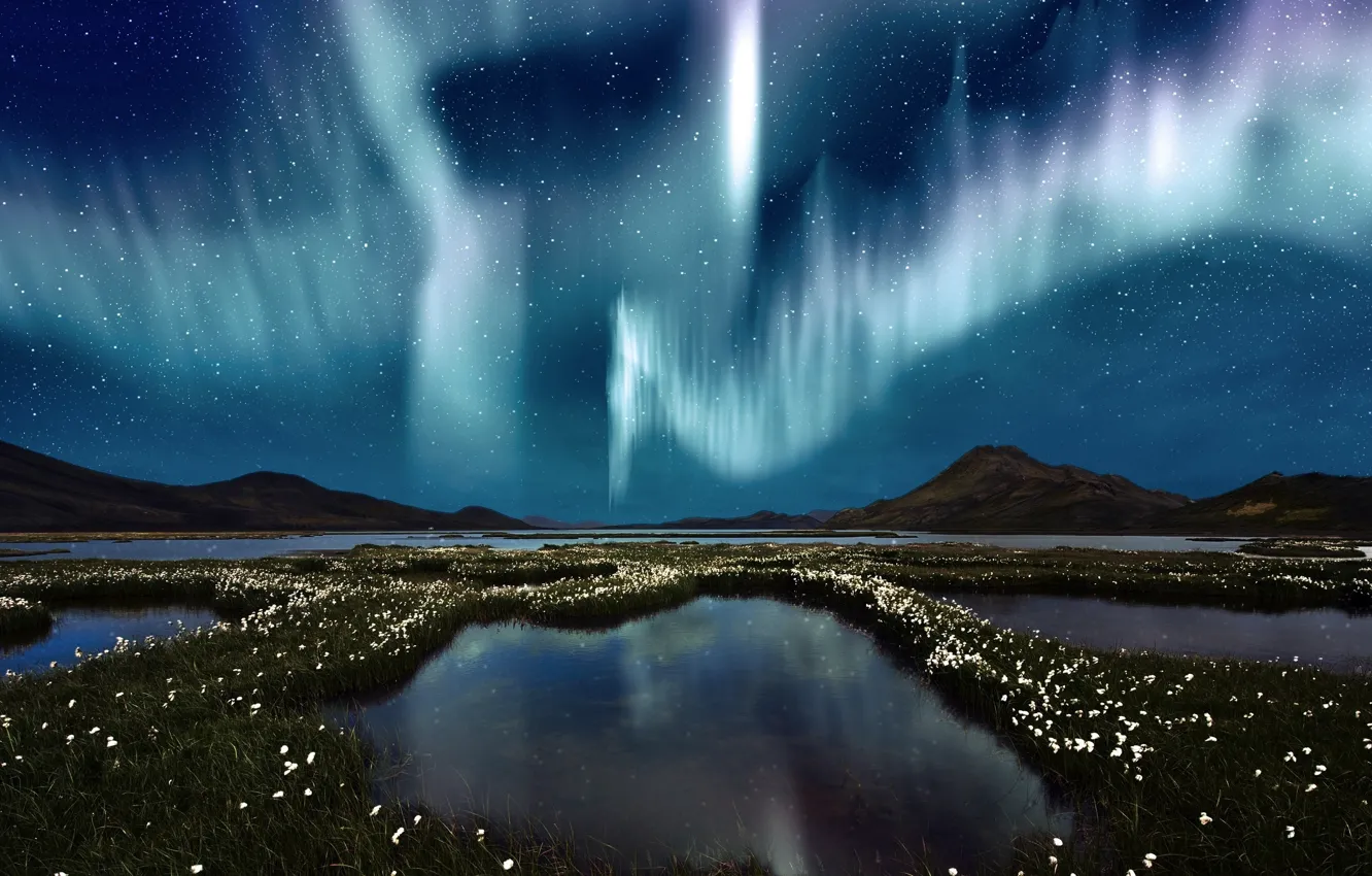 Photo wallpaper the sky, water, stars, flowers, Northern lights, swamp