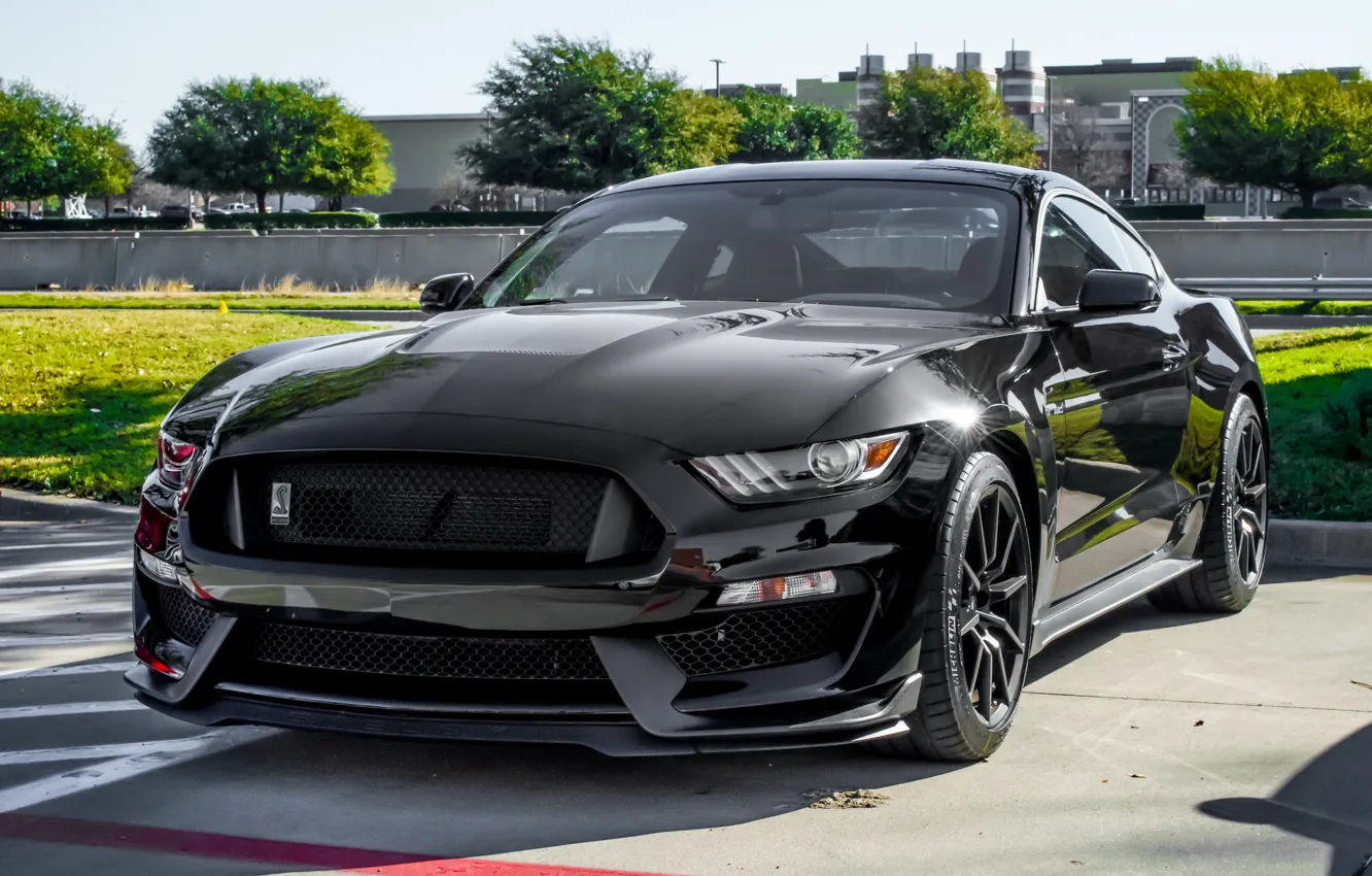 Wallpaper Mustang, Ford, Shelby, Black, GT350 images for ...