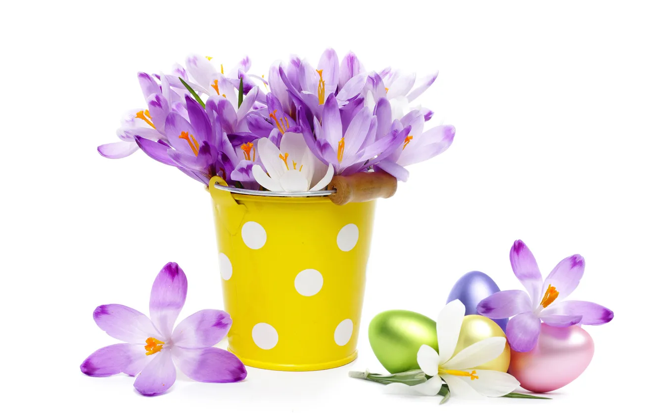 Photo wallpaper eggs, bouquet, crocuses, bucket, flowers, spring, eggs, easter, crocus