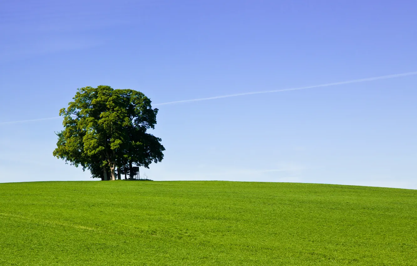Wallpaper green, grass, sky, field, tree, hill, countryside, farm, sunny  images for desktop, section пейзажи - download