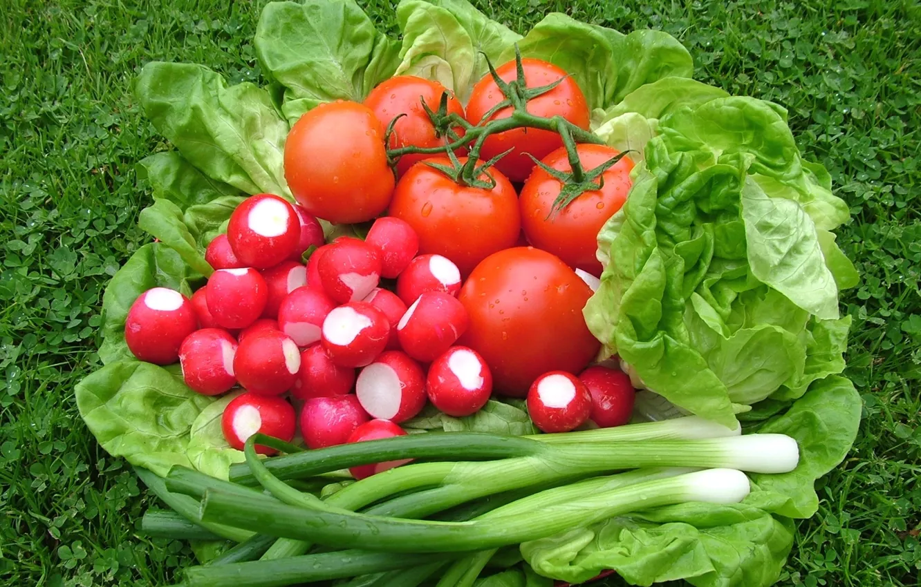 Photo wallpaper bow, vegetables, tomatoes, salad, radishes