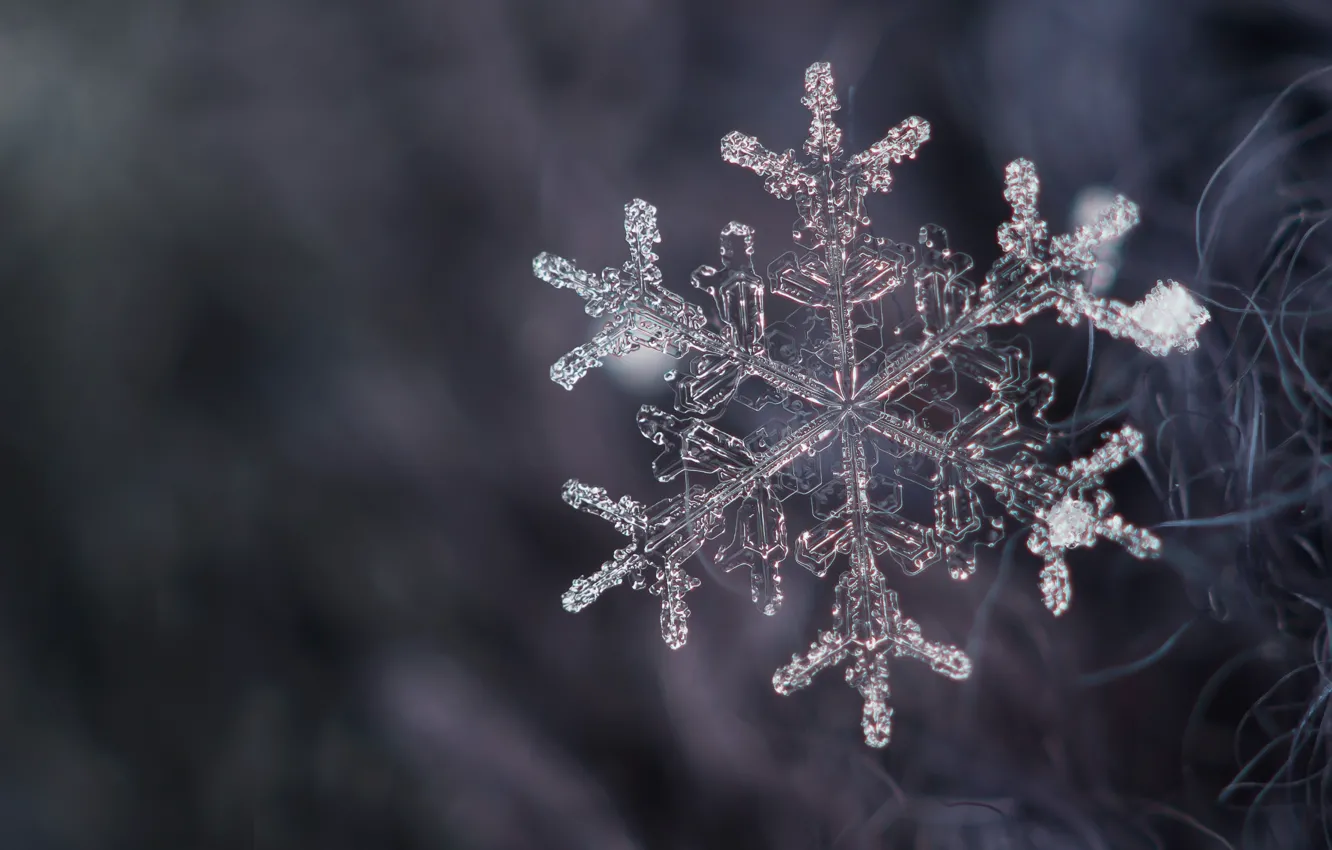 Wallpaper crystal, snow, snowflake images for desktop, section макро -  download
